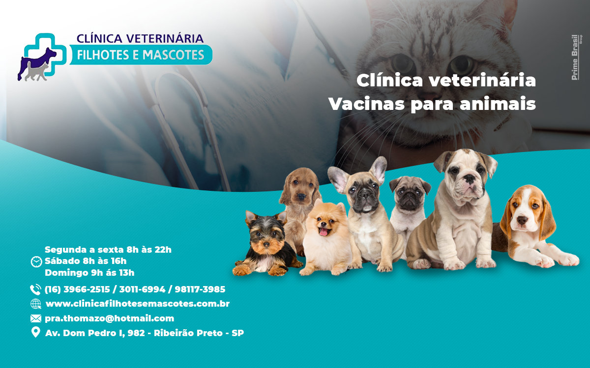 Clínica veterinária Filhotes e Mascotes Brodowski - Área 17 - Seu guia de empresas em São José do Rio Preto e região.