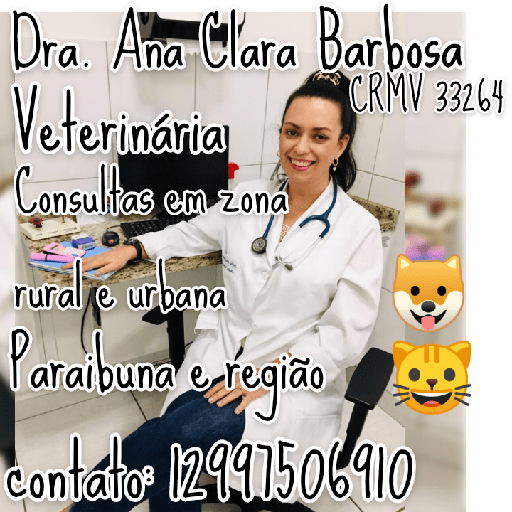 Dra. Ana Clara Barbosa Paraibuna - Área 17 - Seu guia de empresas em São José do Rio Preto e região.