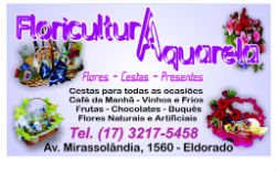 Floricultura Aquarela São José do Rio Preto - Área 17 - Seu guia de empresas em São José do Rio Preto e região.