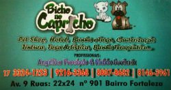 Bicho no Capricho - Área 17 - Seu guia de empresas em São José do Rio Preto e região.