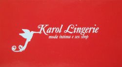 Karol Lingerie Moda Íntima e Sex Shop - Área 17 - Seu guia de empresas em São José do Rio Preto e região.