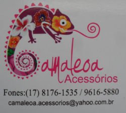 Camaleoa Acessórios - Área 17 - Seu guia de empresas em São José do Rio Preto e região.