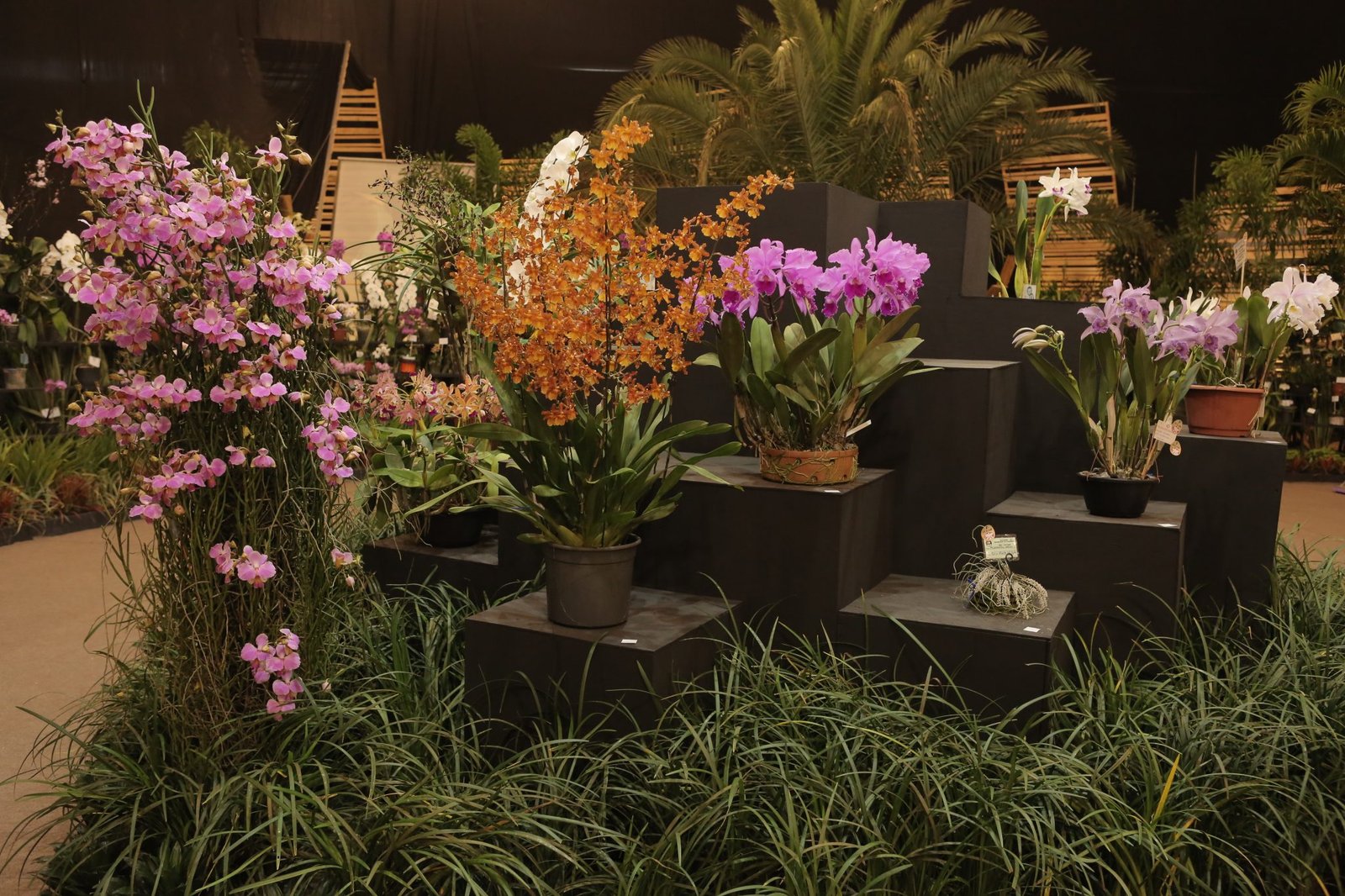 Flora Ibiti Paisagismo Sorocaba - Área 17 - Seu guia de empresas em São José do Rio Preto e região.